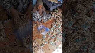 bungkusi magor putihan #fypシ #idejualan #pemula