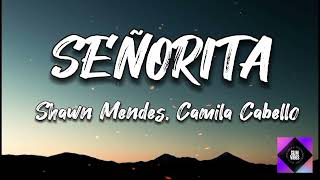 Shawn Mendes, Camila Cabello - Señorita(Lyrics)