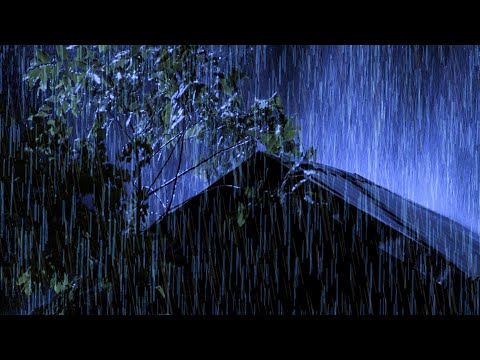 Fall Into Sleep In 5 Minutes With Heavy Rain x Thunder Intense Sounds On Tin Roof In Forest At Night
