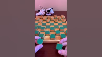 Tactile Checkerboard for the Blind and Visually Impaired #shorts #games #blind #checkers
