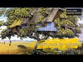 Chal Wahan Jaate Hain Lyrics | Arijit Singh best Song | Whatsapp Status Video | Nainu Writes Whatsapp Status Video Download Free