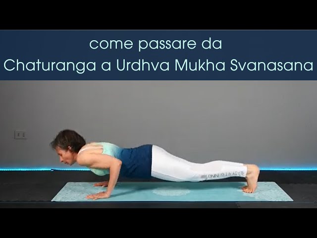 Yoga Videos  Chaturanga Dandasana-Urdhva Mukha Svanasana Transition