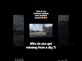 I SEEN A HARLEY DAVIDSON BEING RODE THE RIGHT WAY ‼️‼️ #viral #youtubeshorts #cars #video #driving