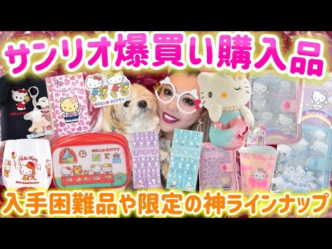 Sanrio Shopping Spree] Retro Stickers & Sticker Books 💎 Awaji