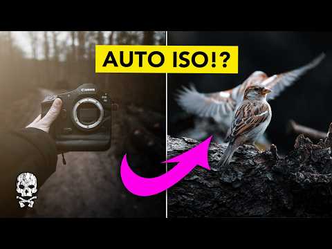 My favorite IN-CAMERA SETTING for Wildlife Photography