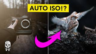 My favorite IN-CAMERA SETTING for Wildlife Photography