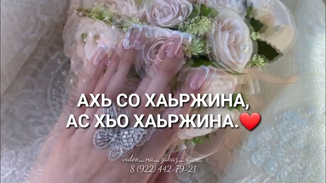 Почтовый голубь сирень сенсация. Ас хьо хаьржина. Ас хьо хаьржина. Ас хьо хаьржина. Тасман сирень голубь.