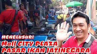 TRIP || RUTE MENUJU PASAR IKAN JATINEGARA DARI MALL CITY PLAZA / PASAR JATINEGARA