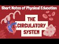 Circulatory System | Physical Education Notes | Physical Education | tgt physical education