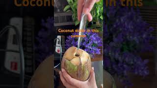 Summer refreshments coconut water