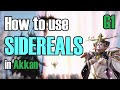 Akkan Raid Lead Sidereal Guide G1 Lost Ark 