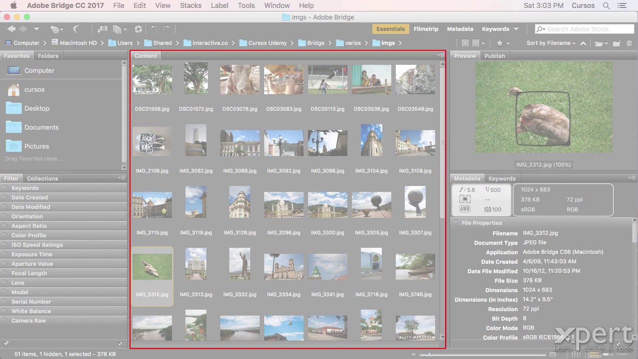 02-02 Conocer la Interfaz de Adobe Bridge - Curso gratis. - YouTube