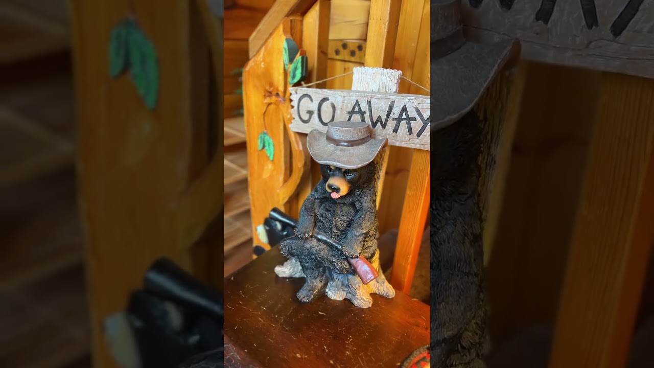 Black-Beary Cove cabin is all about spending time with each other and relaxing!