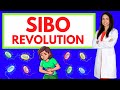 The SIBO Revolution A Doctor S Journey Through Bloating IBS And True Gut Healing 