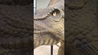 Olha isso 😱Dinossauro completamente de verdade. #entretenimento #viagem #paiefilho