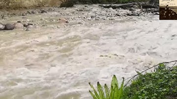 سورة النور تلاوة الشيخ بيشه قادر الكردي/ مع صوت النهر