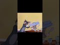 Tom and jerry love with dance  fighting