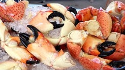 INSANE Seafood EXTRAVAGANZA at the SOUTH FLORIDA SEAFOOD FESTIVAL | Miami, Florida 