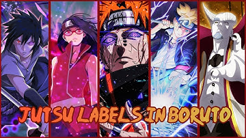 All the Jutsu Labels in Boruto Explained in 19 Minutes!