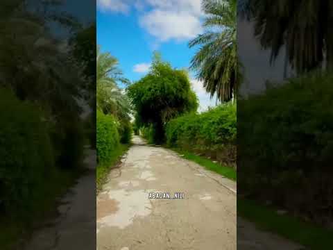 ای کاش تمام محله های آبادان انگلیسی ها میساختن کوچ باغ زیبا در آبادان