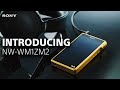 Introducing the sony walkman signature series nwwm1zm2