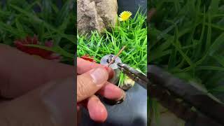 Techniques for connecting solid wires to screws#Wiring Tips Sharing