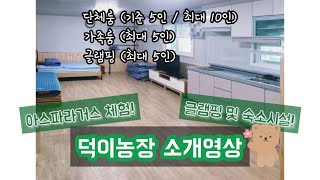 덕이농장 영상