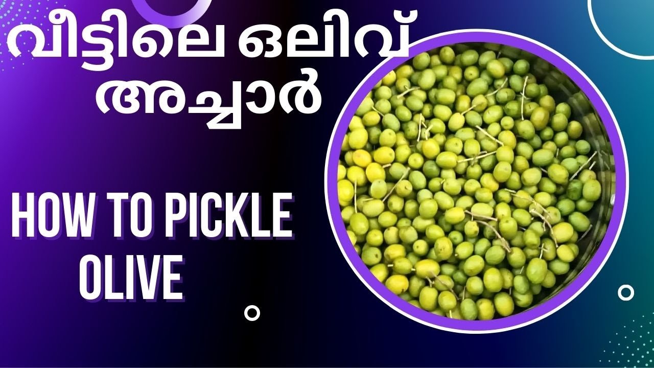 Olive Pickling Malayalam video YouTube