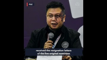 In Comelec filing, Rowena Guanzon formalizes party-list substitution bid