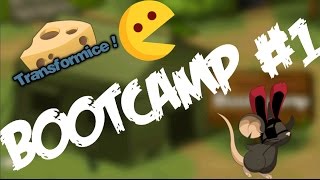 Bootcamp #1 | Transformice