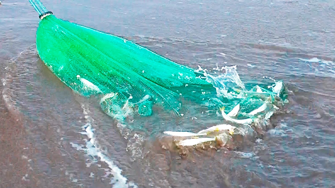 INCREIBLE Pesca con atarraya capturado en vídeo 