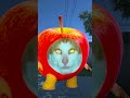 AppleCat Family, Wait... 🍎🙀 #gmod