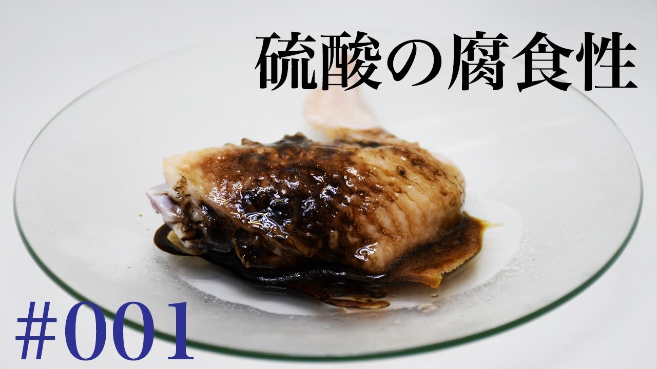 【化学実験】硫酸の腐食性比較