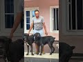 Doglover #viral #dogloverspsychology #choko#newsubscribers