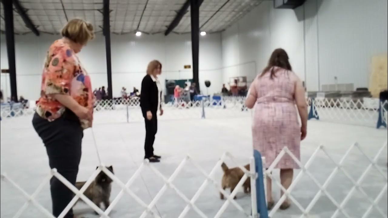 Snap Gets First Major June 5, Fargo 2022 YouTube