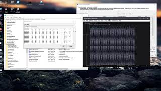 MasterInstaller 3.03.00 - Software Bug Information