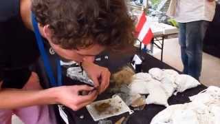 火打石で火をおこす方法　How to start fire with Flint