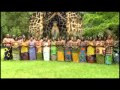 Capture de la vidéo Non Dagbé Malia - Chorale St Charles Lwanga Paroisse Bon Pasteur Cotonou