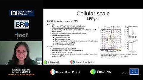 Diaz Sandra & Migliore Michele - Simulation tools and services in EBRAINS