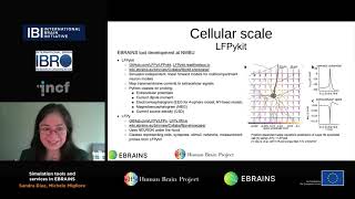 Diaz Sandra & Migliore Michele - Simulation tools and services in EBRAINS