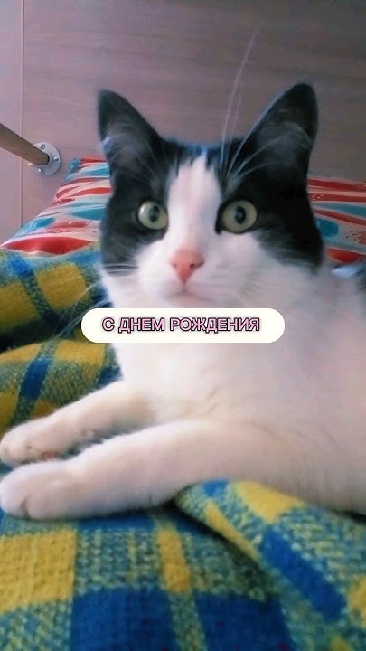С днем рождения Бусинка моя ! 😊🎀😘 - YouTube