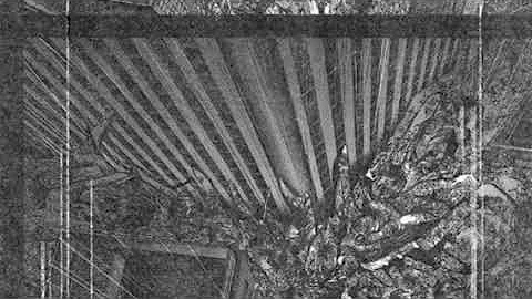 تحميل 東京グール ネタバレ 146