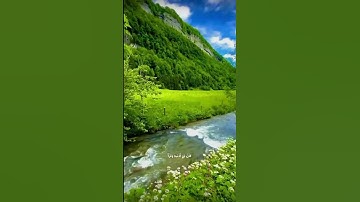 سورة لقمان || الآيات: 7-8 || القارئ: #ياسر_الدوسري #اكسبلور #القرآن #تلاوة #لايك