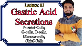 01.Gastric Acid Secretion Physiology. (Mucous cell, Parietal cells, G & D cell, Chief cell). ENGLISH