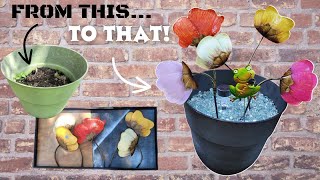 Thrift Flip | DIY Garden Decor | DIY Home Decor