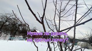 Обрезка на третью почку! К чему приводит, и как быть? Видео ответ на ролики  Алексея Петрищева.