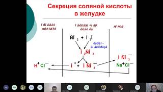 картинка: Белоктар алмасуы