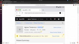 OpenMRS Microfrontends - Patient Banner implementation