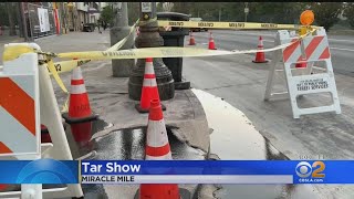 Tar Continues To Ooze Up On Streets Near La Brea Tar Pits