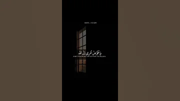 وافوض امري الى الله 